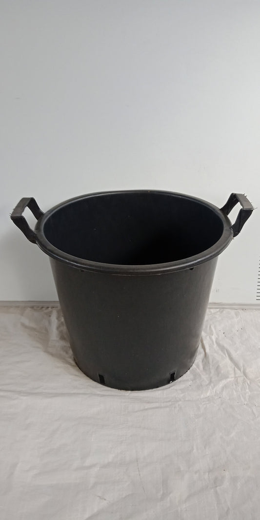 Garden Pots for Fruit Trees