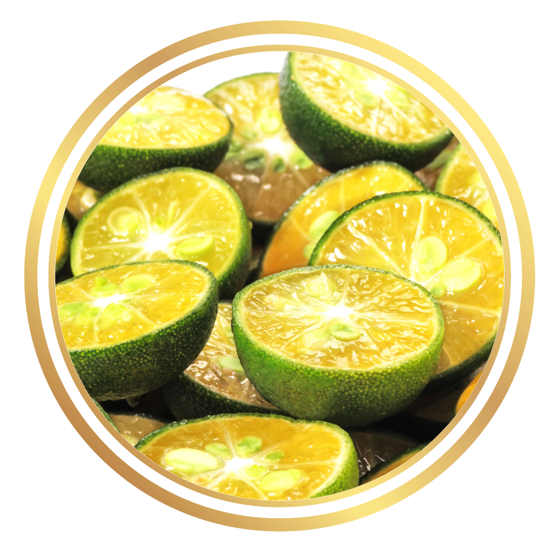 calamondin best fruit trees brisbane Calamansi Calamondin Fruit Tree – Perth Mobile Nursery
