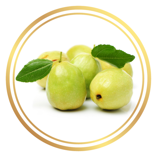 Jujube Li Chinese Dates Fruit Tree