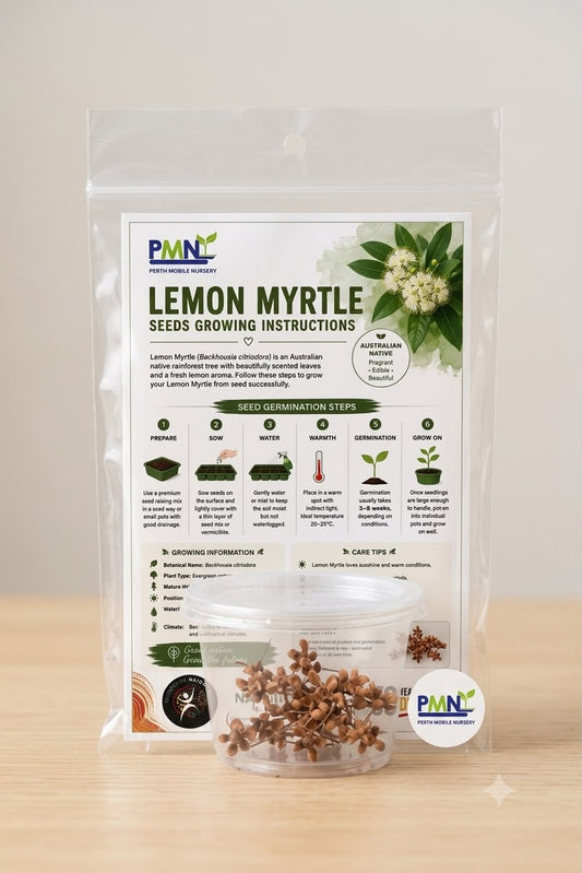 Lemon Myrtle Seeds