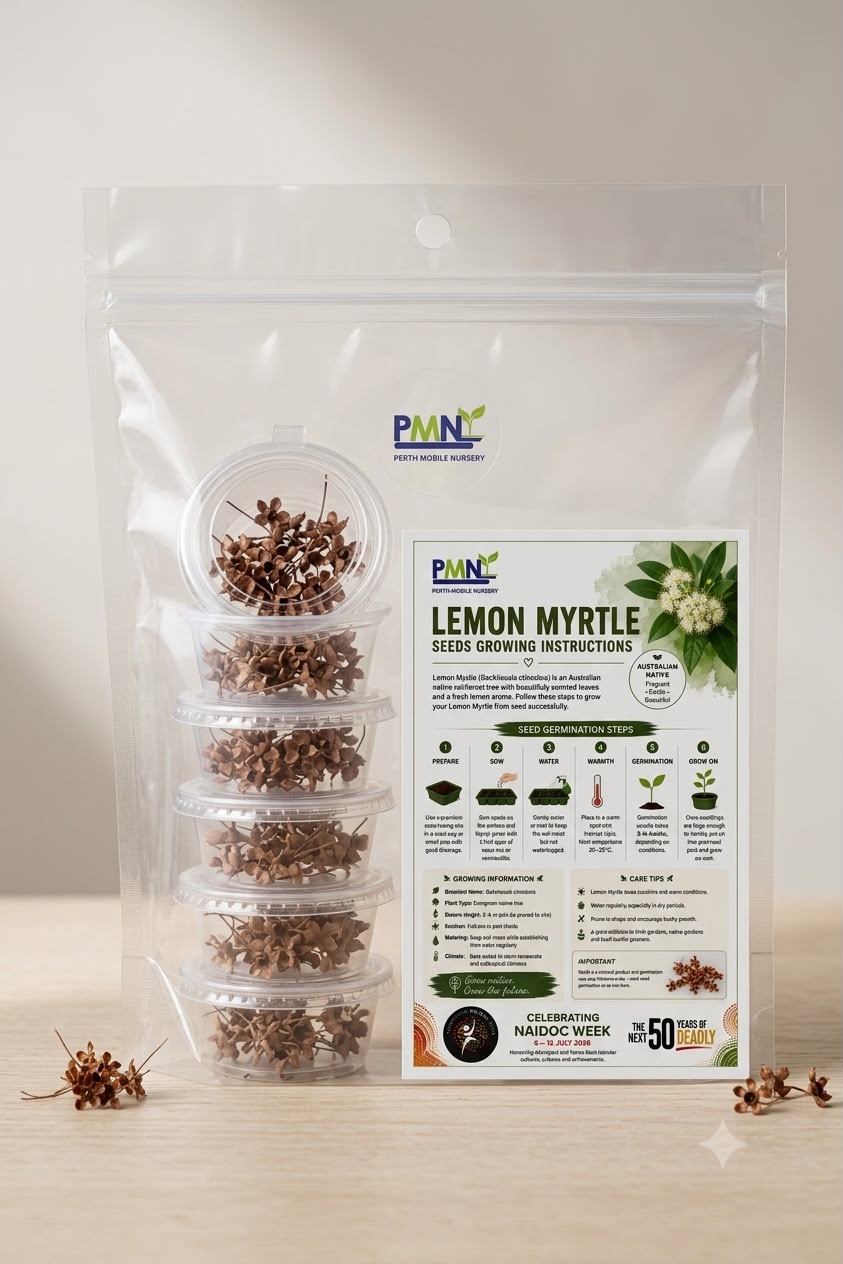 Lemon Myrtle Seeds