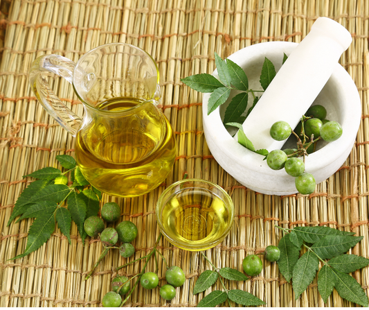 How to Use Neem Oil for your Plants