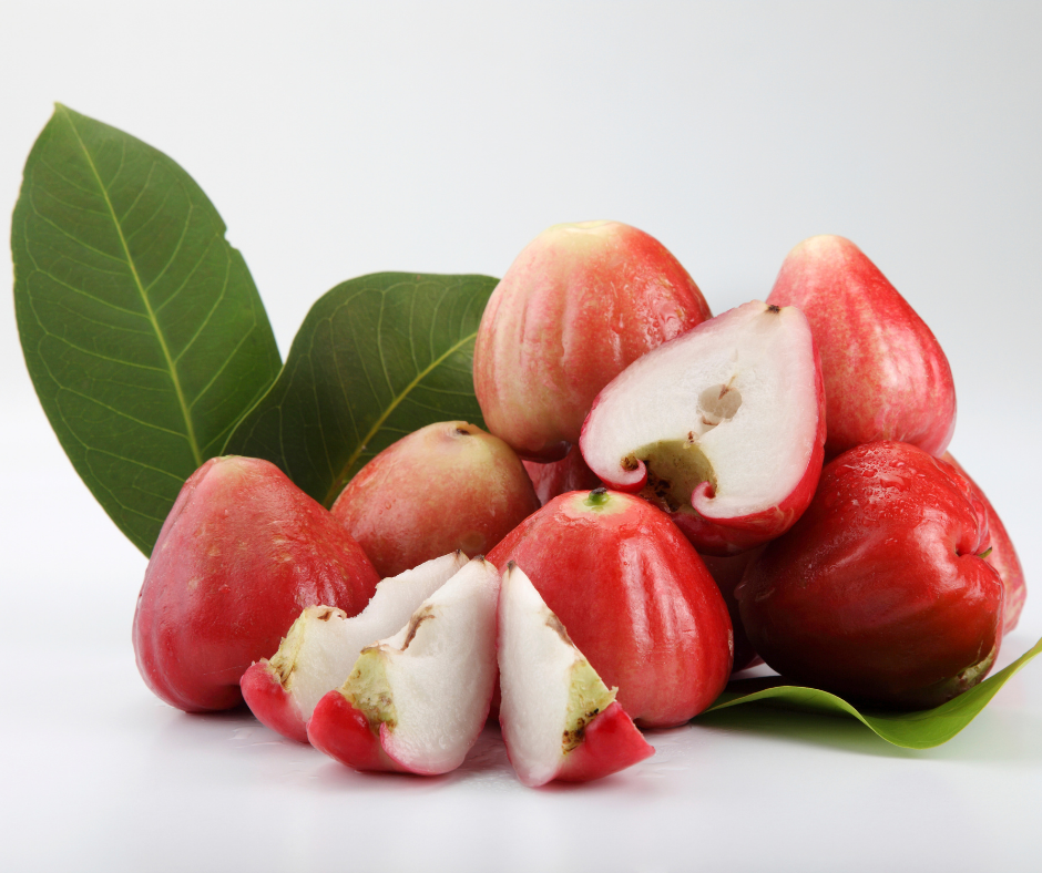 Is Wax Jambu a Fruit? Let's Find Out!