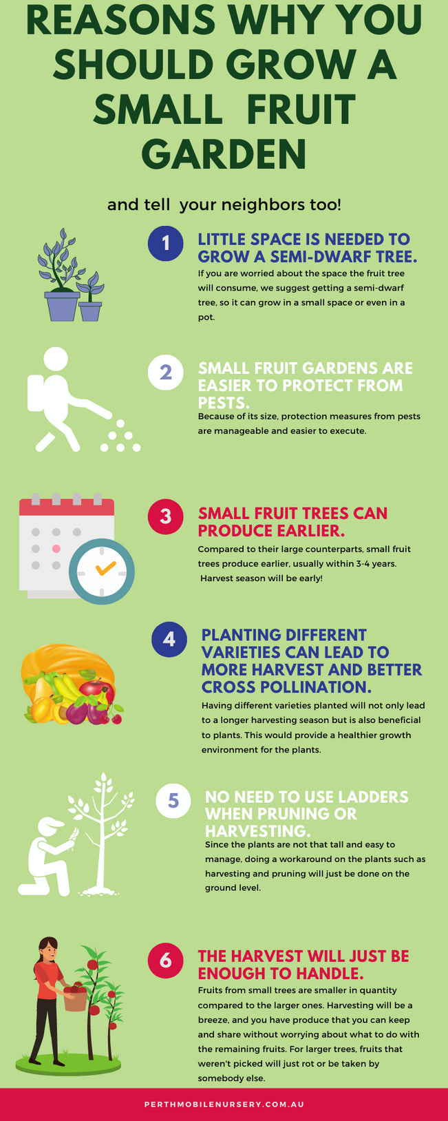 The Advantages of Having a (Miniature) Fruit Garden in Perth