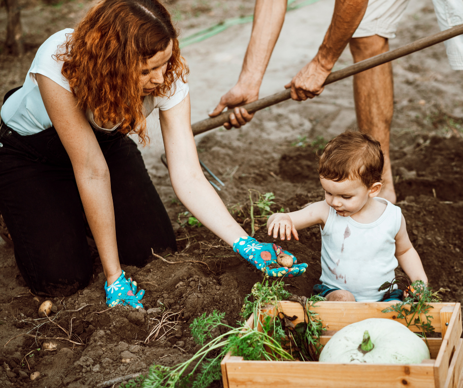 Why Long Weekends are the Best Time to do Gardening at Home.