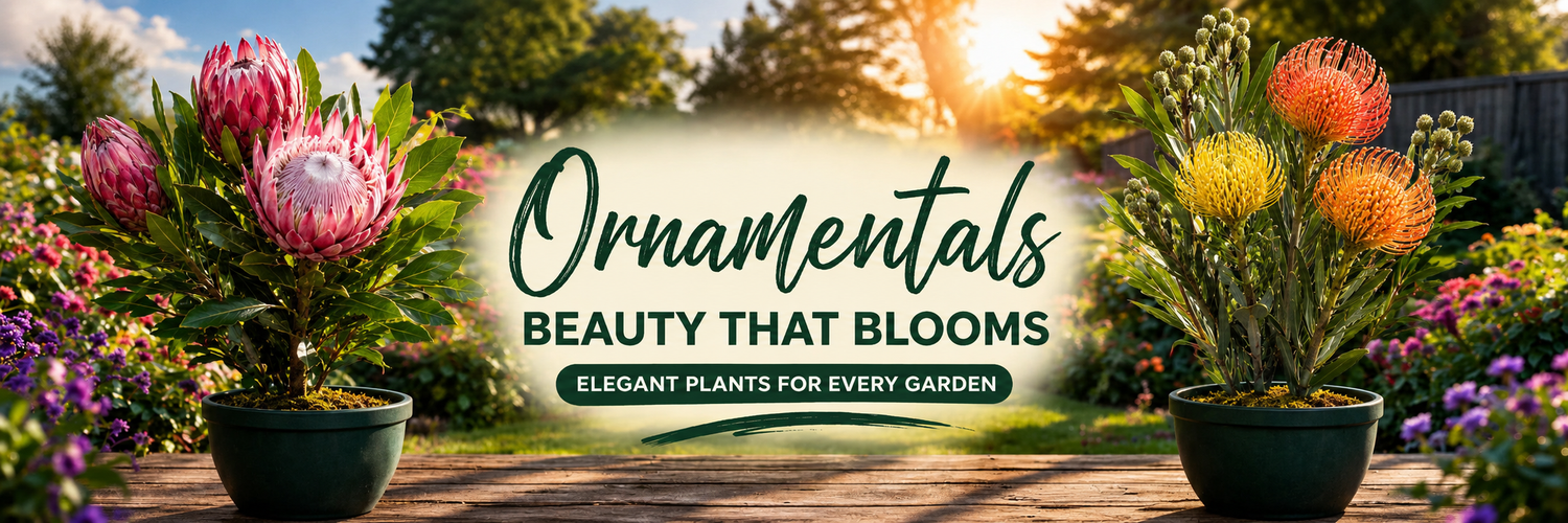 Ornamentals