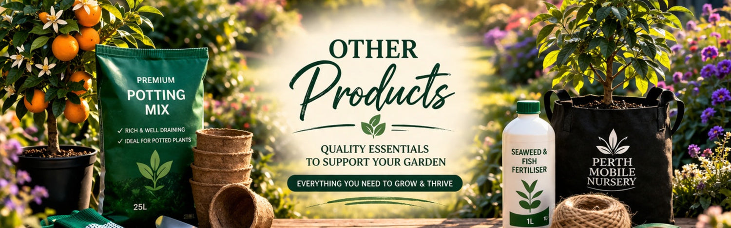 Other Products