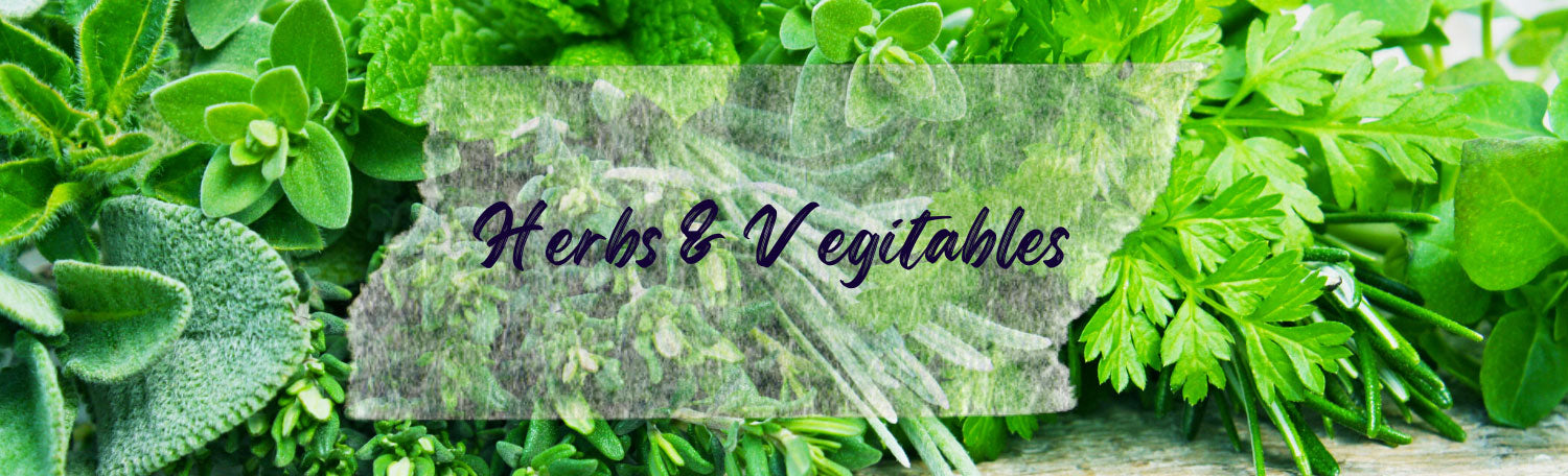 Herbs & Vegetables