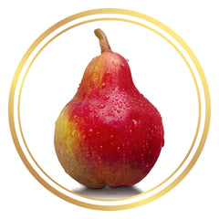 Dwarf Red Sensation Pear