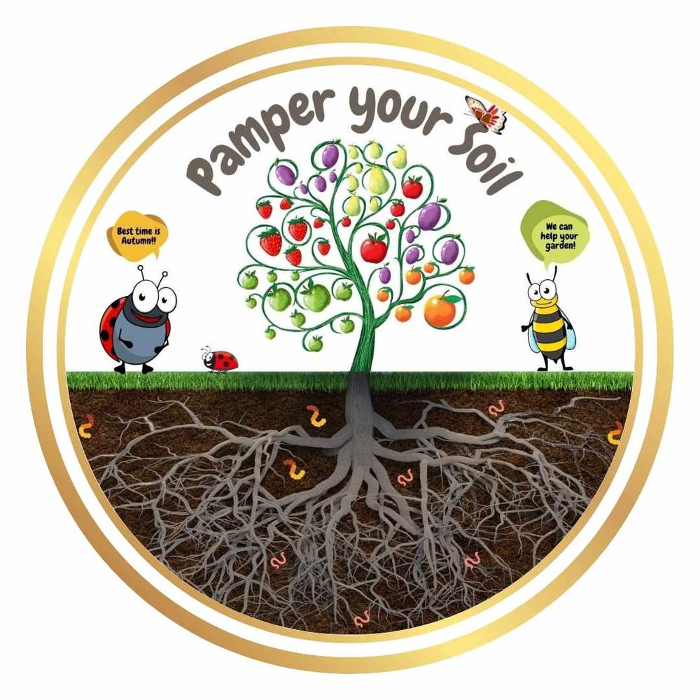 Improve Your Soil Package