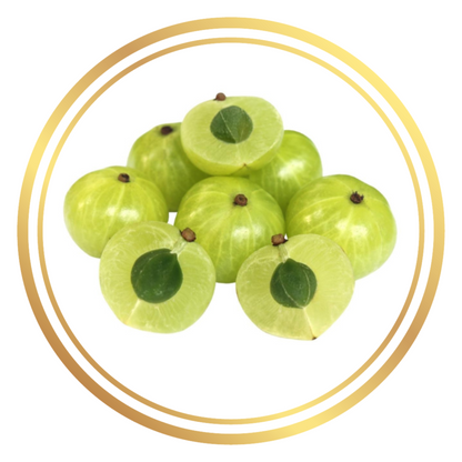 Amla Tree Indian Gooseberry