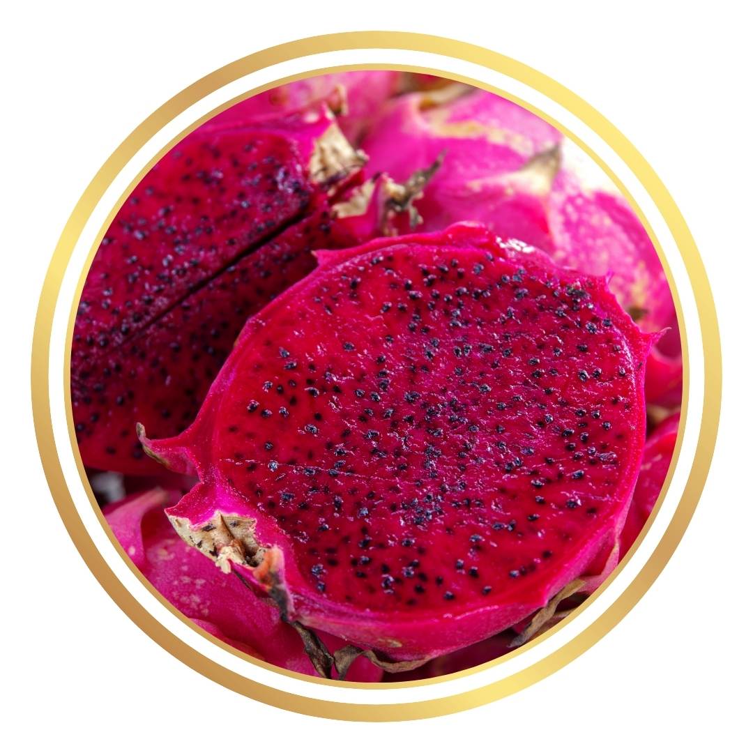 Aztec Gem (Selenicereus Hybrid)