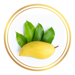 Banana Ken Mango Tree Dwarf