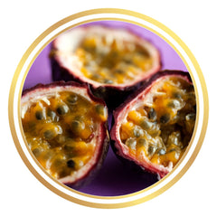 Passionfruit Vine Plant