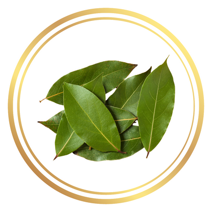 Bay Leaves Tree