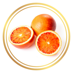 Blood Orange Fruit Tree