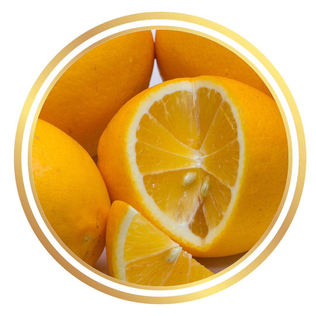 Citrus Fruit Tree Lemon Meyer