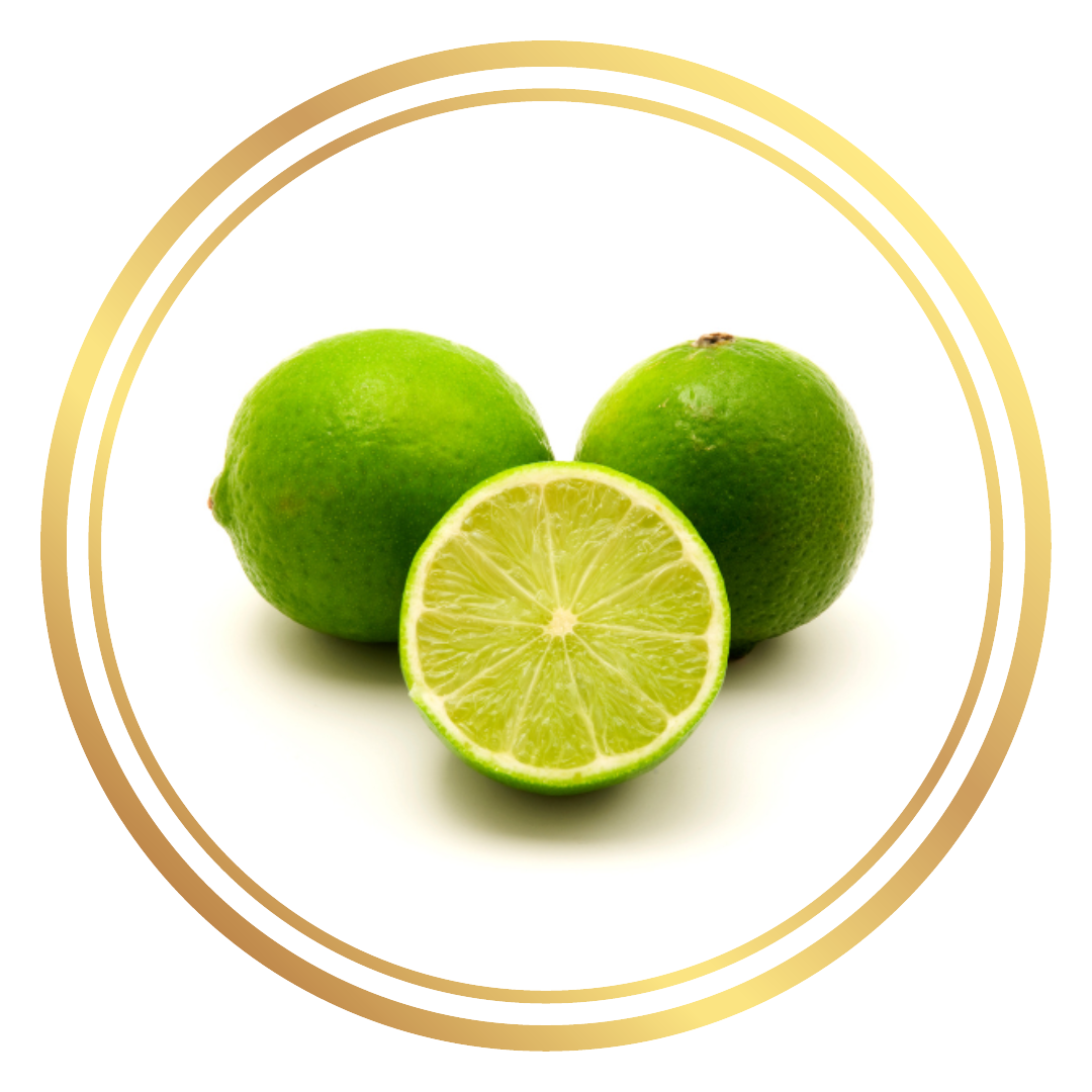 Persian Tahitian Lime Citrus Fruit Tree