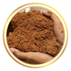 Coir Coco Peat Coconut Fibre