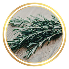 Cooking Rosemary