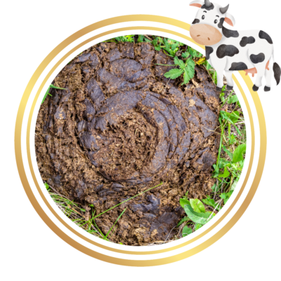 Manure Fertiliser Cow Sheep Chicken