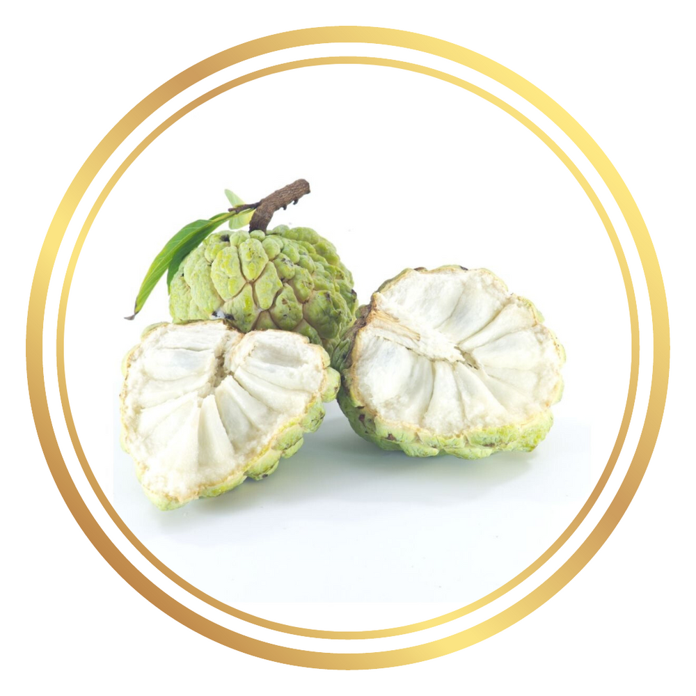 Custard Apple Sugar Apple Fruit Tree