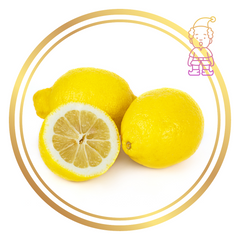 Dwarf Citrus Fruit Tree Lemon Meyer