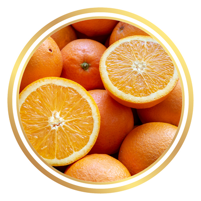 Dwarf Valencia Orange Fruit Tree