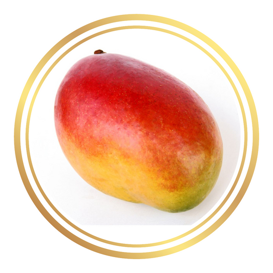 Ono Mango Tree Dwarf