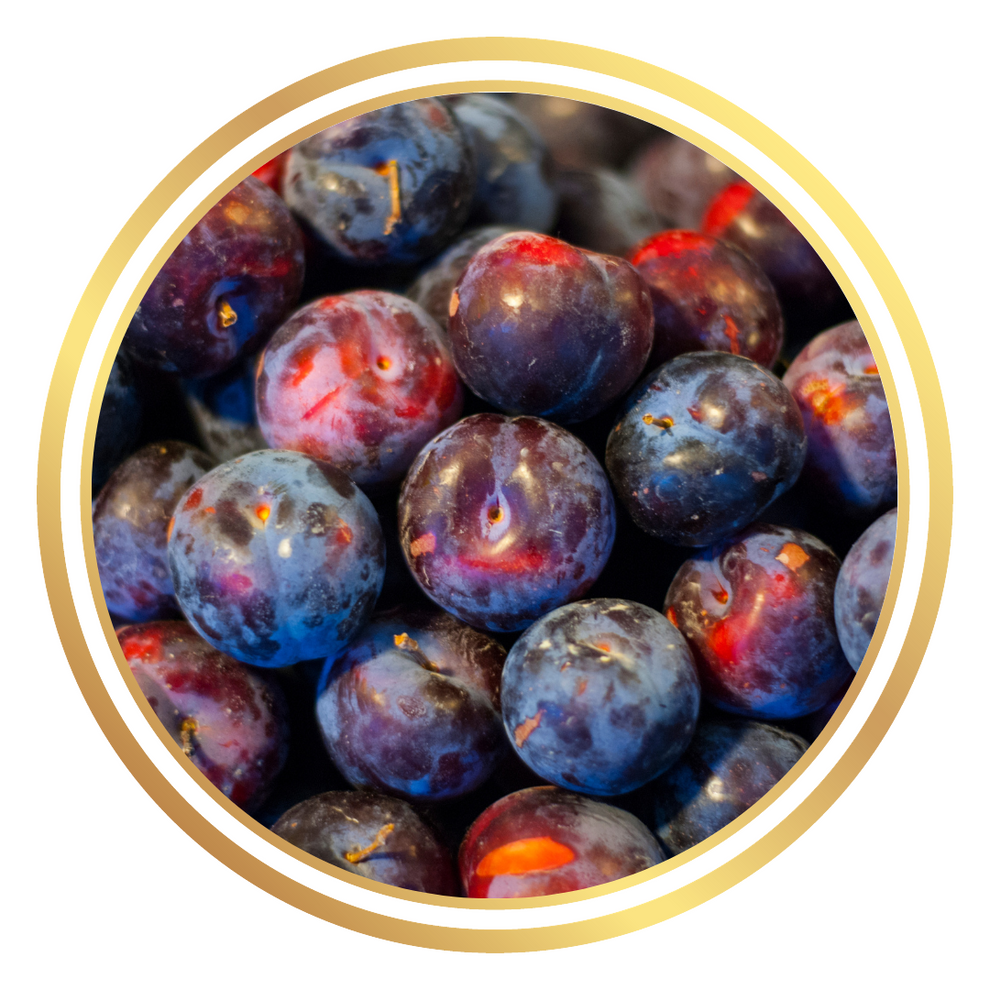 Dwarf Spring Plumcot – Perth Mobile Nursery
