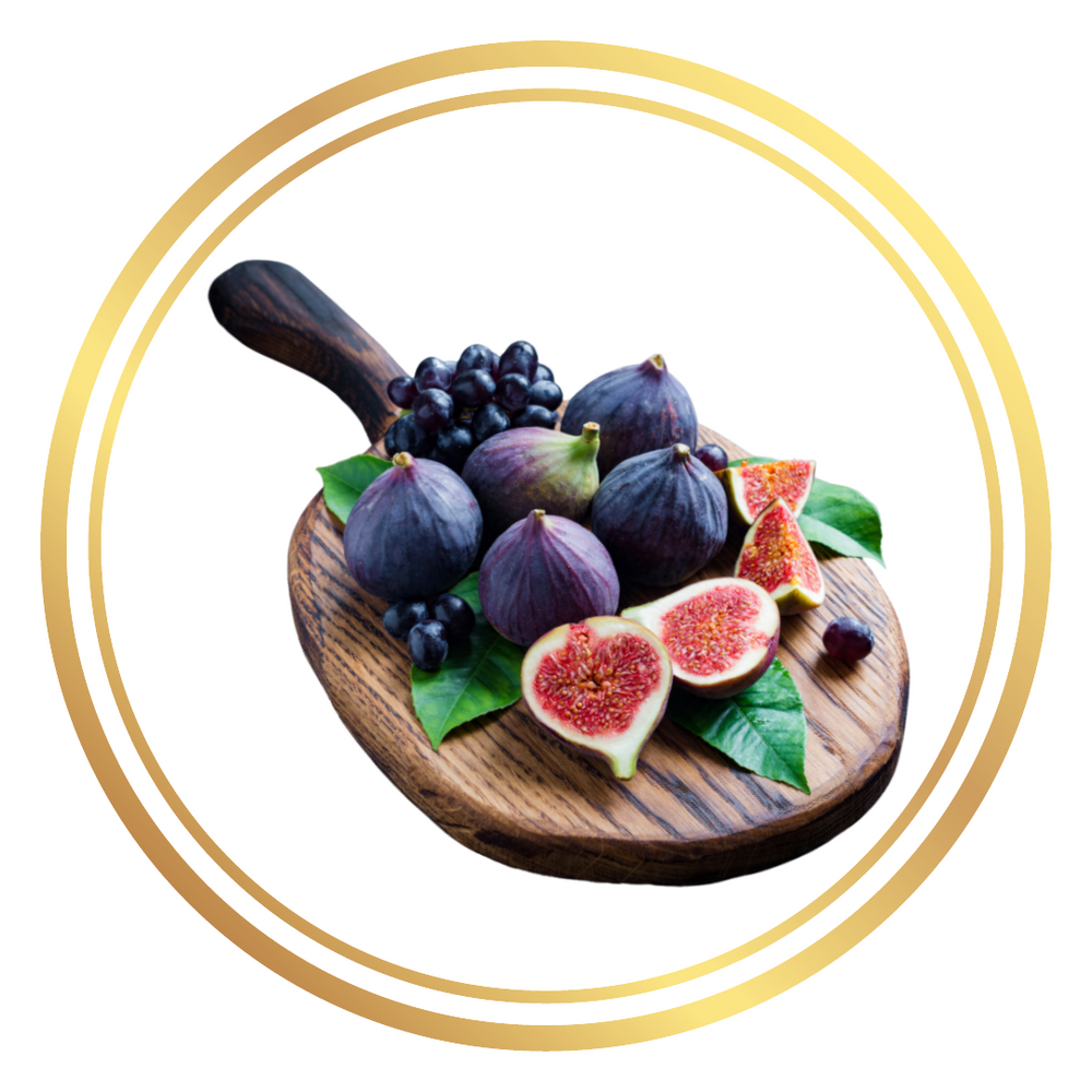 Fig Tree Black Adam