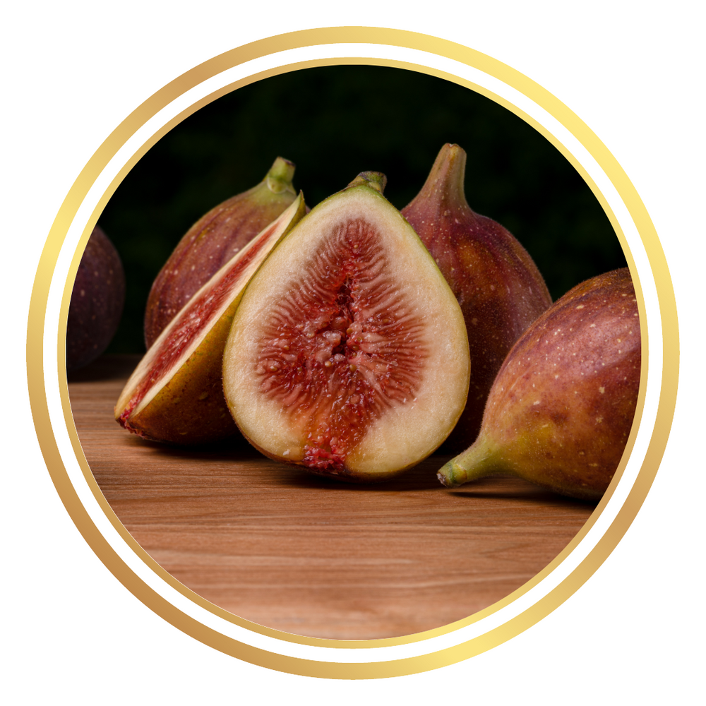 Fig Tree Brown Bell