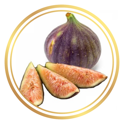 Fig Tree Mrs Williams