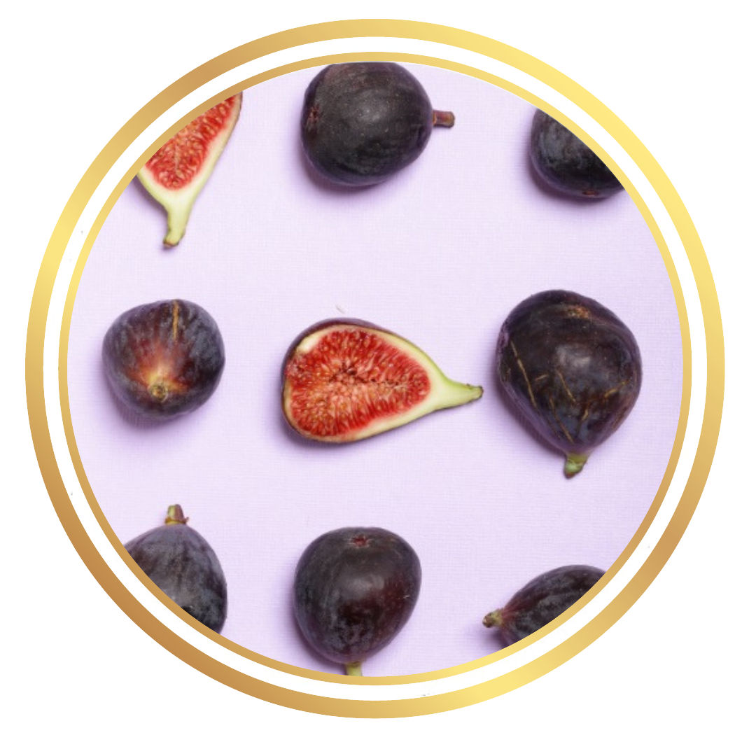 Fig Tree Purple Prince