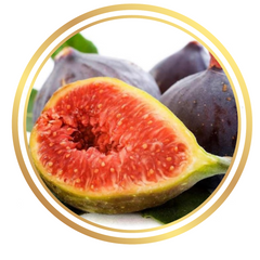 Sicilian Black Fig Tree