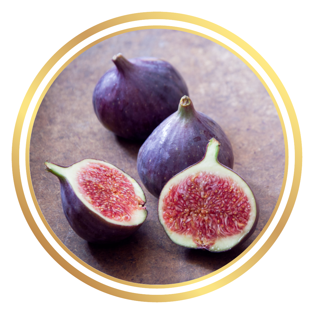 Fig Tree St Dominique de Violette