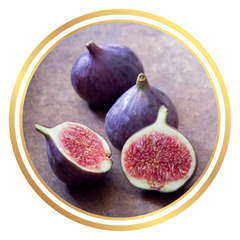 Fig Tree St Dominique de Violette