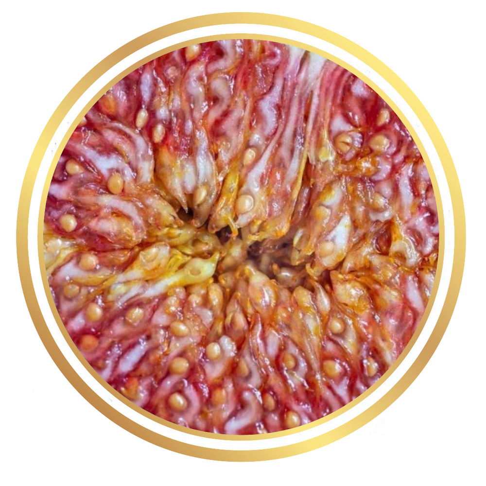 Figs Tree Peter Good