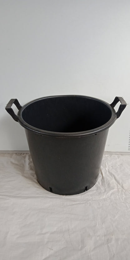 Garden Pots for Fruit Trees