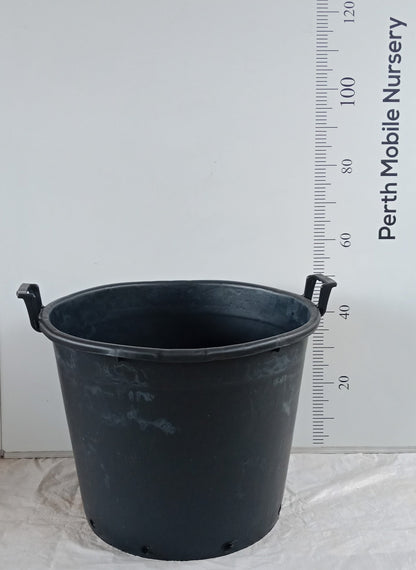 Garden Pots for Fruit Trees