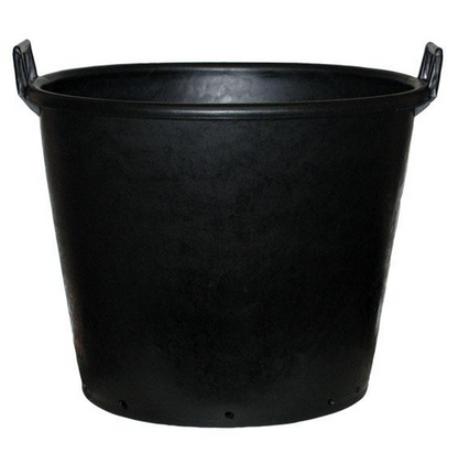 Garden Pots for Fruit Trees