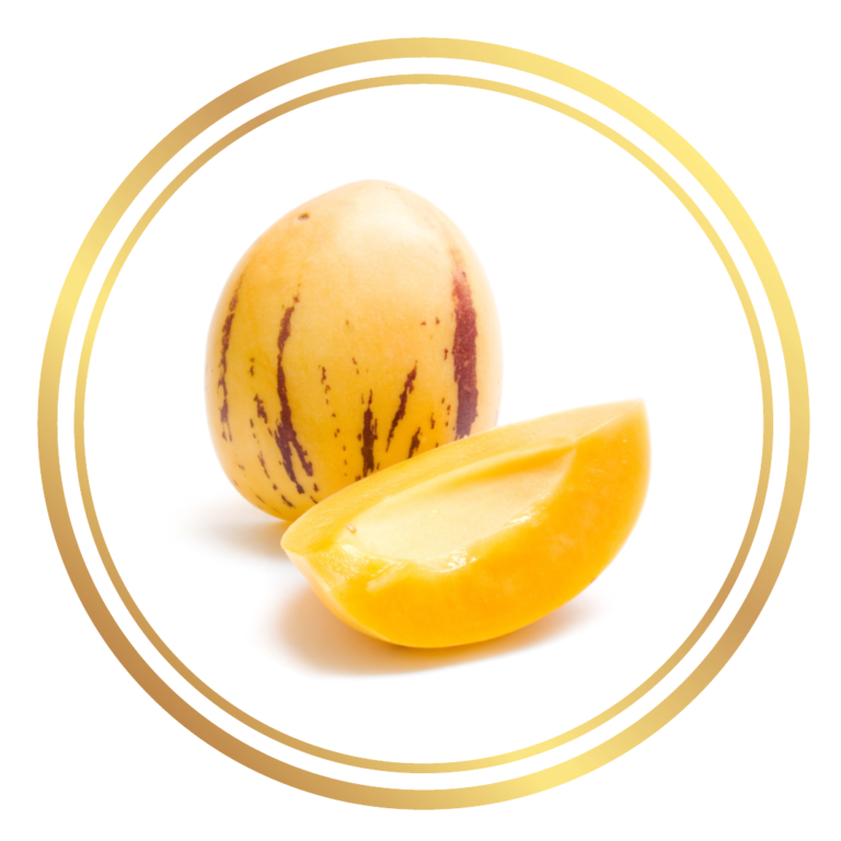Pepino Fruit Plant