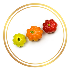 Fruit Tree Brazilian Cherry