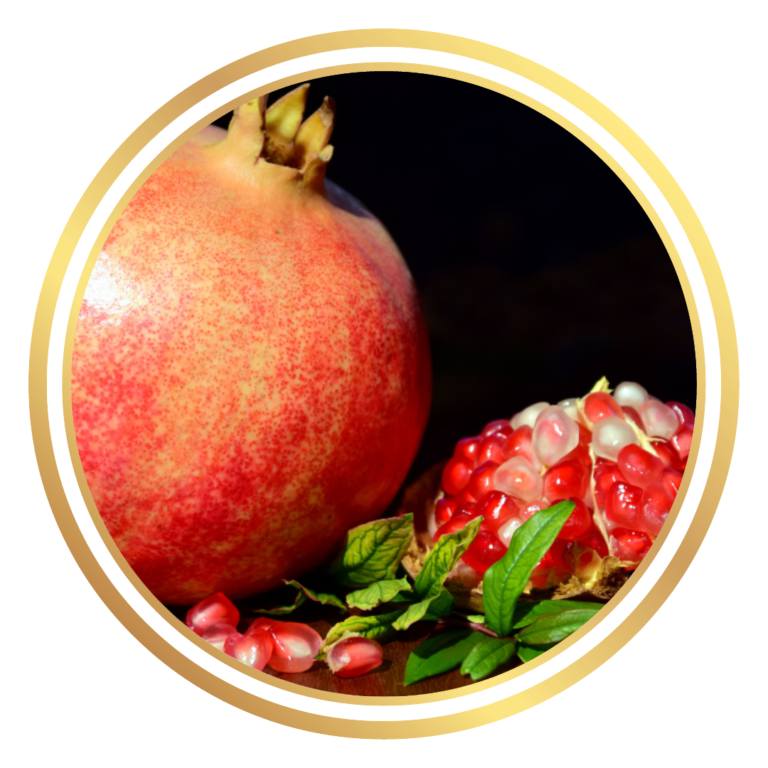 Pomegranate Jodhpur Red