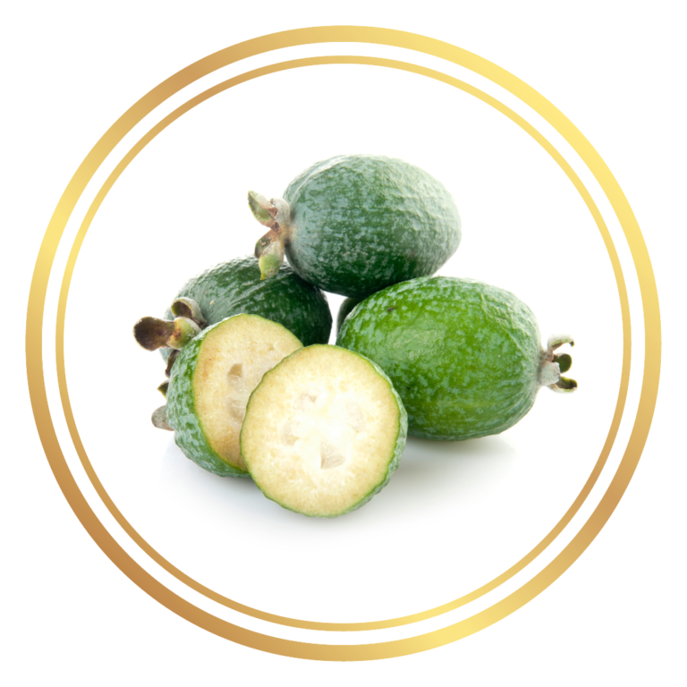 Fruit Tree Feijoa