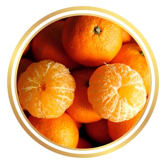 Miho Satsuma Japanese Mandarin Fruit Tree