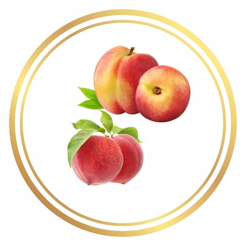 Peach Tree - 2 Way Grafted Jewel and Tasty Zee