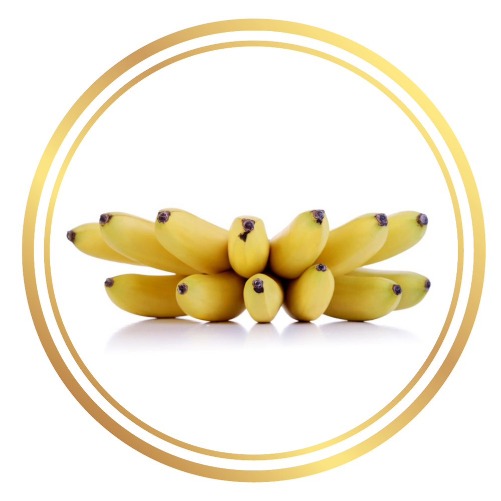 Banana Tree Goldfinger