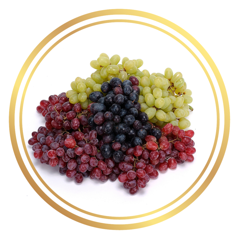 Grape Vines Fruiting