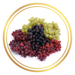 Grape Vines Fruiting